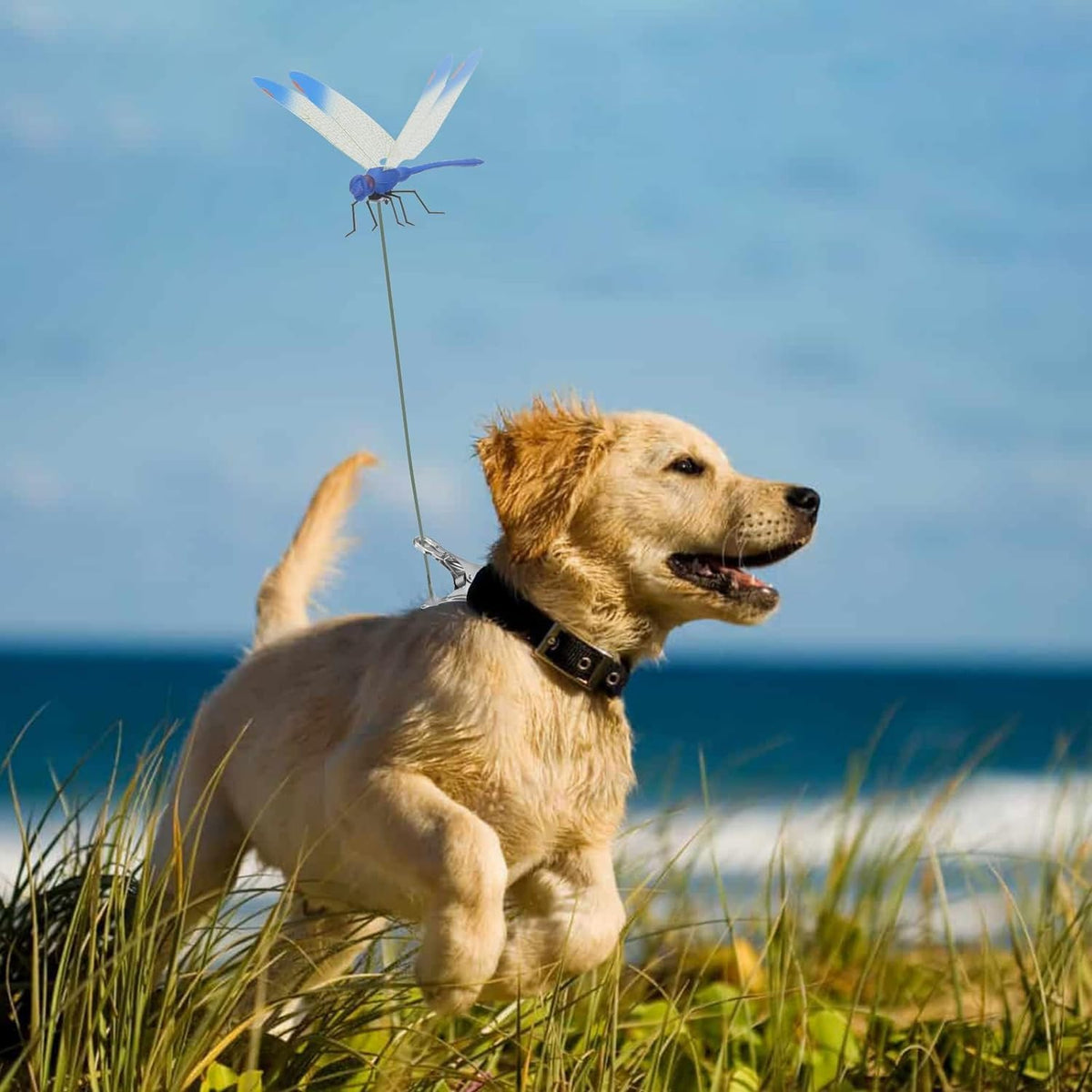 Dragonfly Clip Bug Repe Llent-Repels mosquitoes effectively